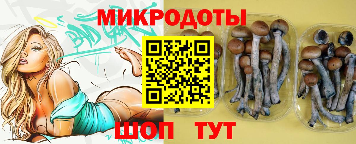 Владимир  Галлюциногенные грибы Cubensis  где купить наркотик  Вход с VPN 